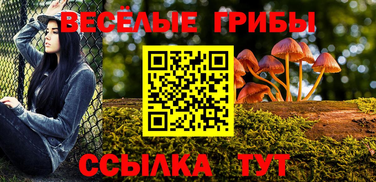 Псилоцибиновые грибы прущие грибы Иркутск