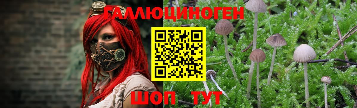 Галлюциногенные грибы прущие грибы  Галлюциногенные грибы Cubensis  Иркутск  Вход с VPN 